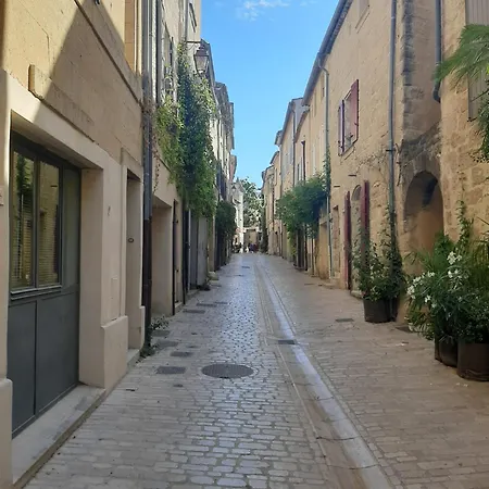 Avec Grand Jardin Et Parking, Apartman Uzès